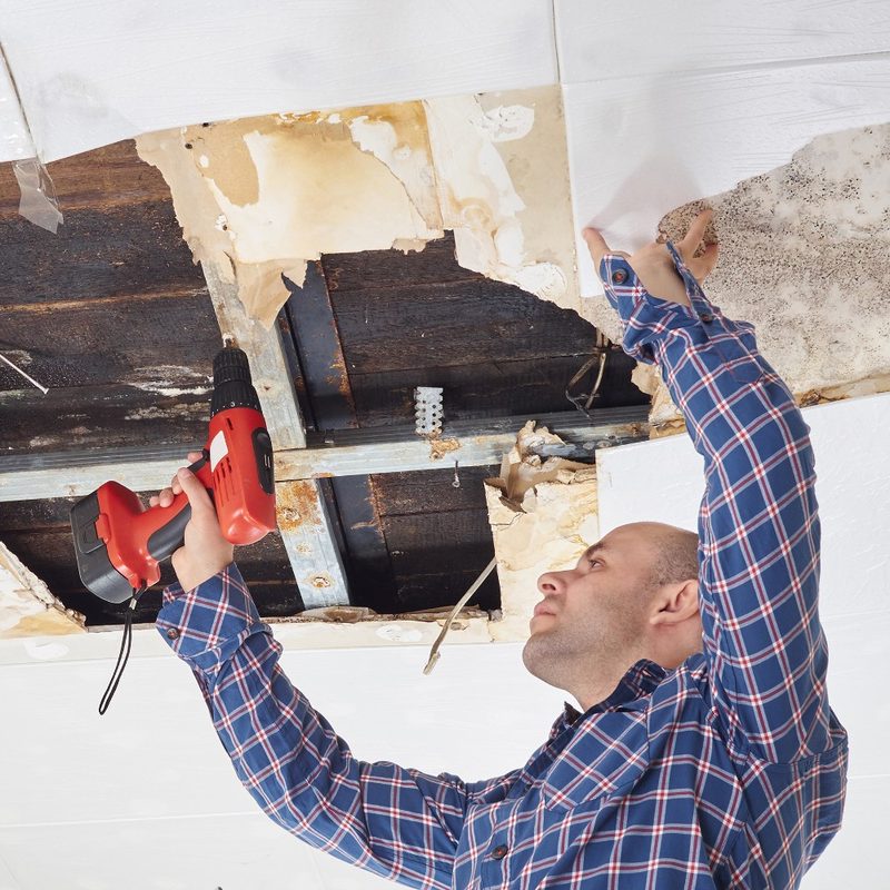 Interior wall repair and restoration after water damage