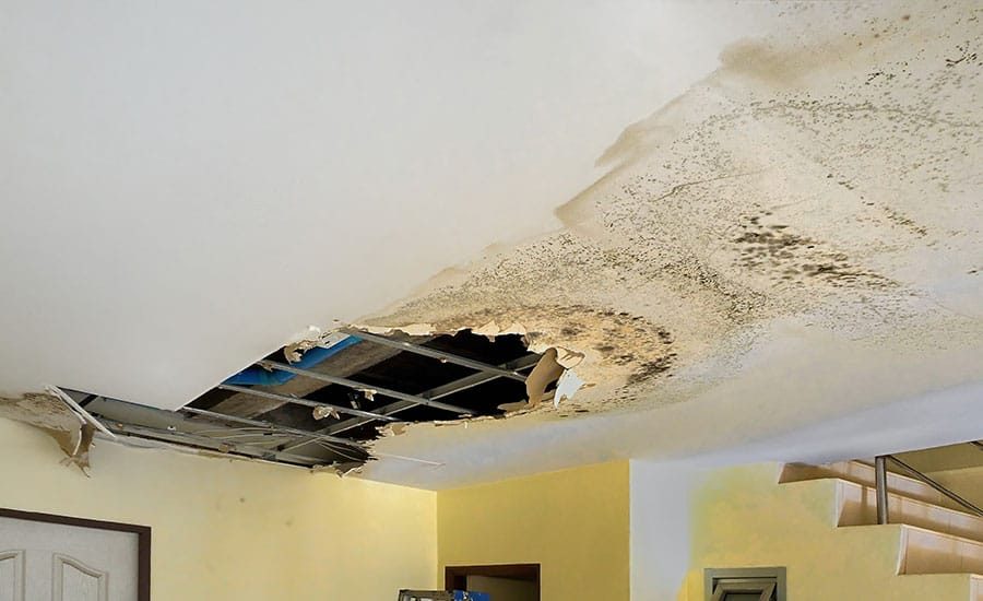 Water damage cleanup in progress at a New York property